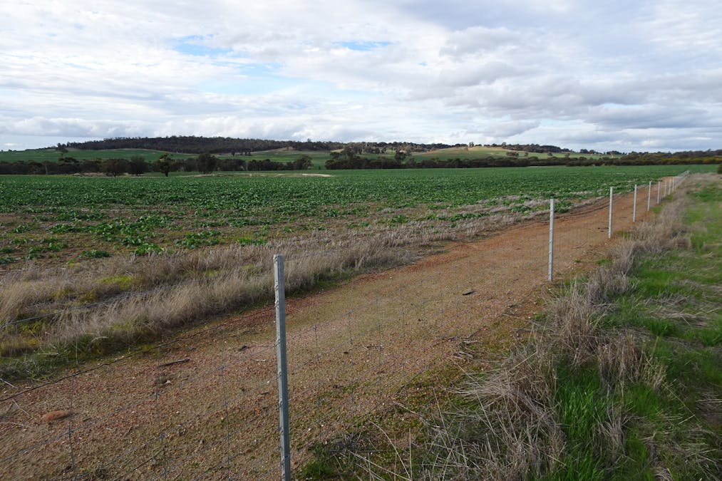 Grout Road, Cuballing, WA, 6311 - Image 10