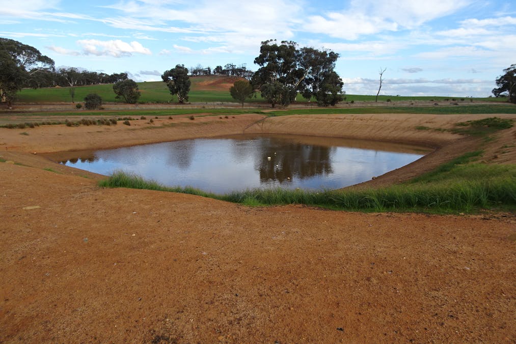 Grout Road, Cuballing, WA, 6311 - Image 13