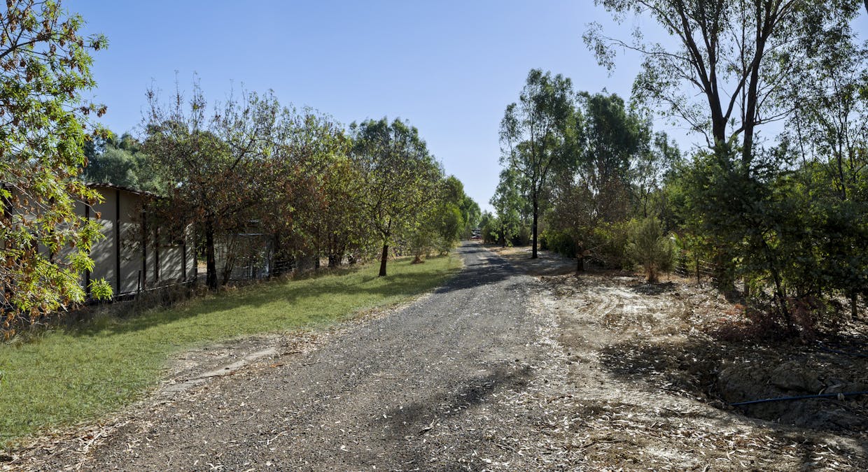 54 Birkett Street, Euroa, VIC, 3666 - Image 7