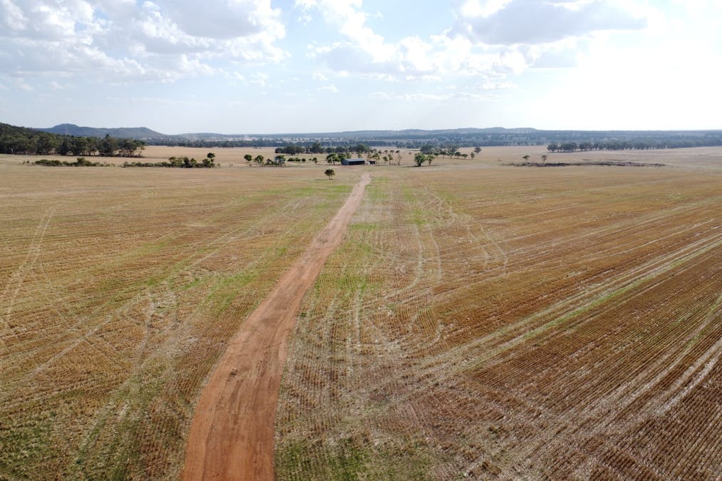 Temora, NSW, 2666 - Image 7