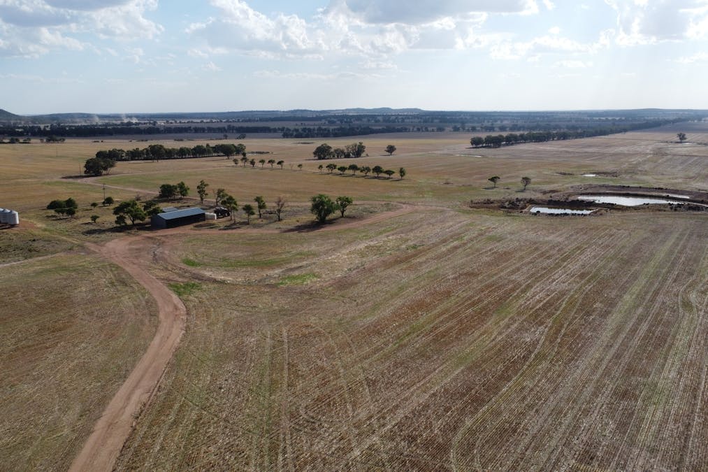 Temora, NSW, 2666 - Image 8
