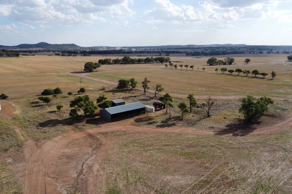 Temora, NSW, 2666 - Image 3