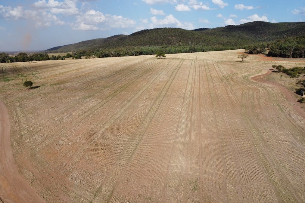 Temora, NSW, 2666 - Image 10