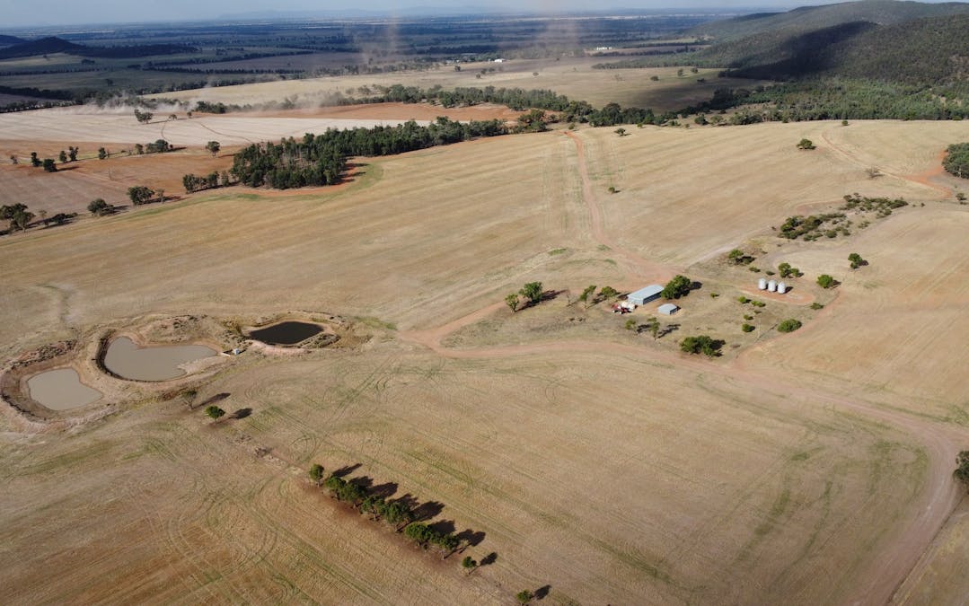 Temora, NSW, 2666 - Image 1