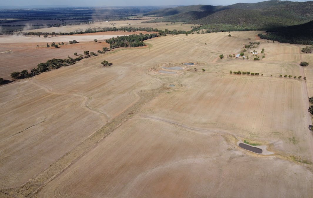 Temora, NSW, 2666 - Image 11
