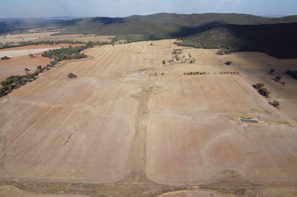 Temora, NSW, 2666 - Image 5