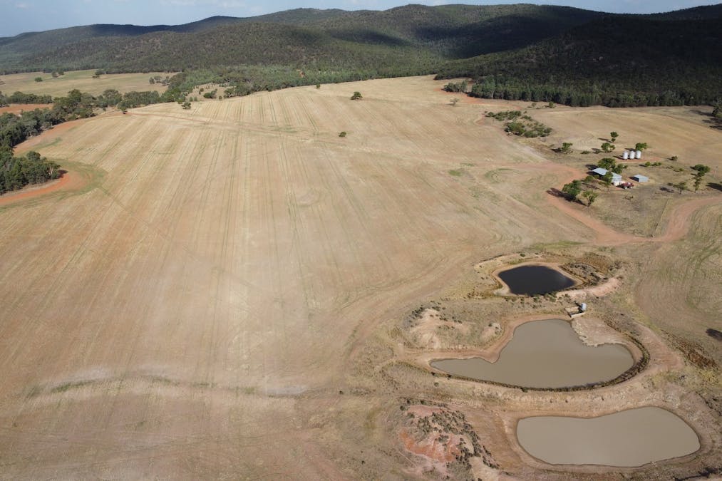 Temora, NSW, 2666 - Image 12