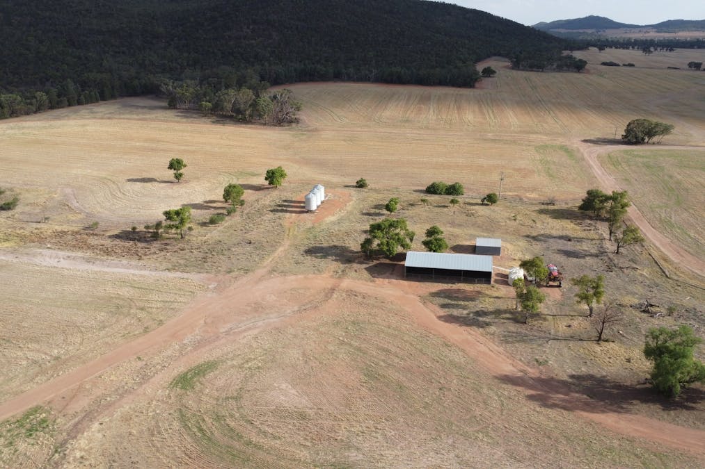 Temora, NSW, 2666 - Image 2