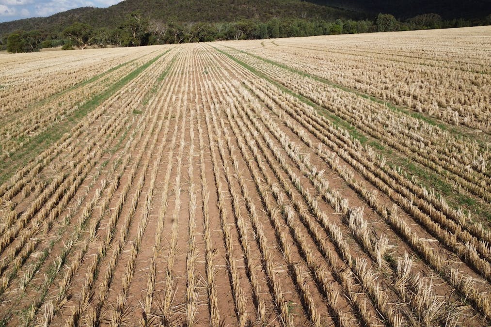 Temora, NSW, 2666 - Image 6
