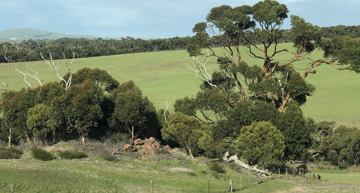 178  Howards Road, Koppio, SA, 5607 - Image 7