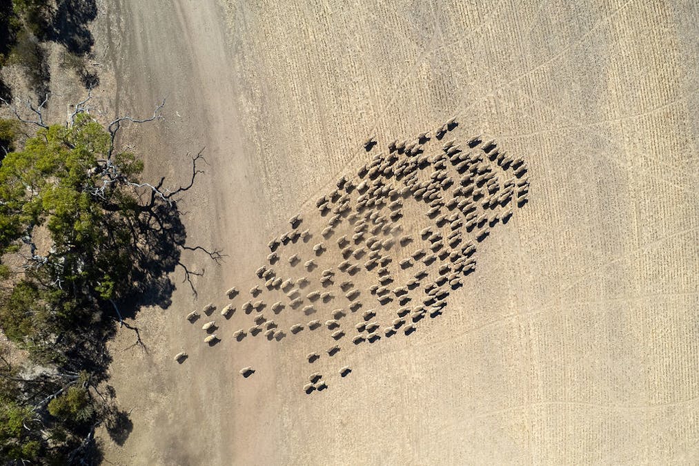 178  Howards Road, Koppio, SA, 5607 - Image 19