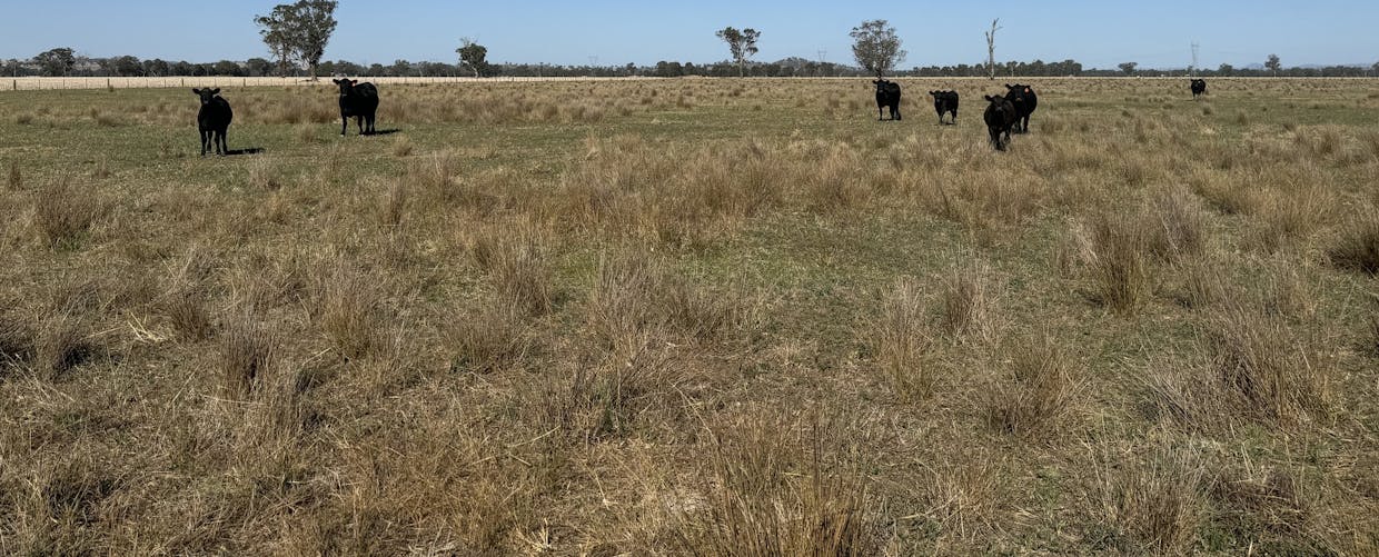 122 Reapers Road, Culcairn, NSW, 2660 - Image 4