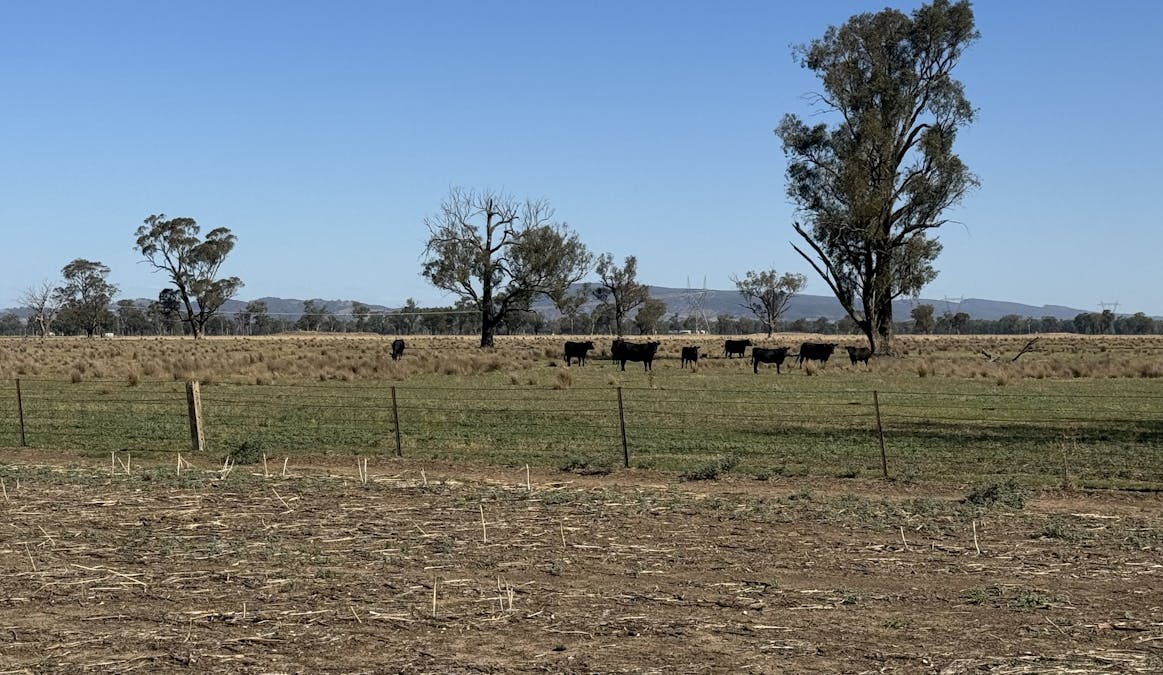 122 Reapers Road, Culcairn, NSW, 2660 - Image 6