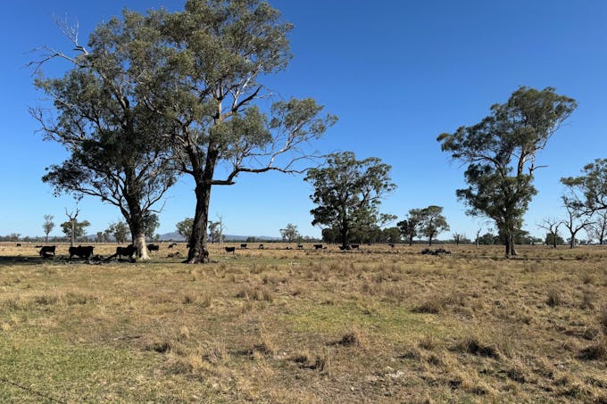 122 Reapers Road, Culcairn, NSW, 2660 - Image 1