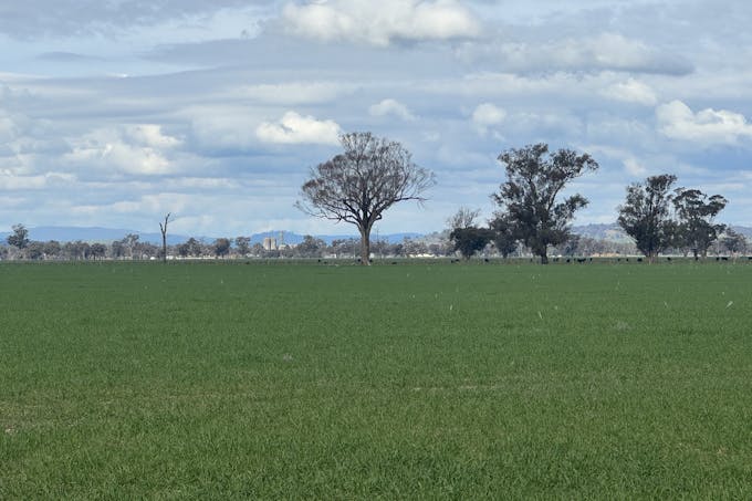 122 Reapers Road, Culcairn, NSW, 2660 - Image 1