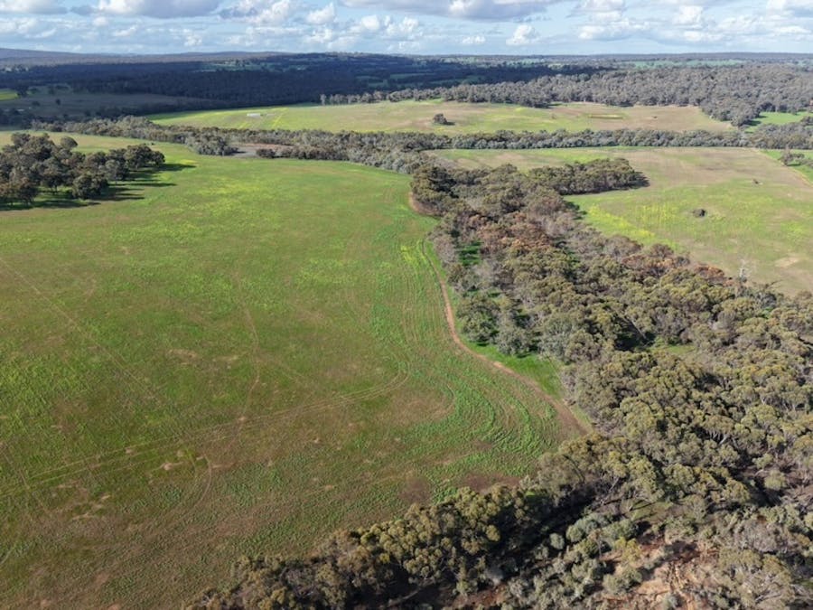 3520 Great Eastern Highway, Copley, WA, 6562 - Image 1
