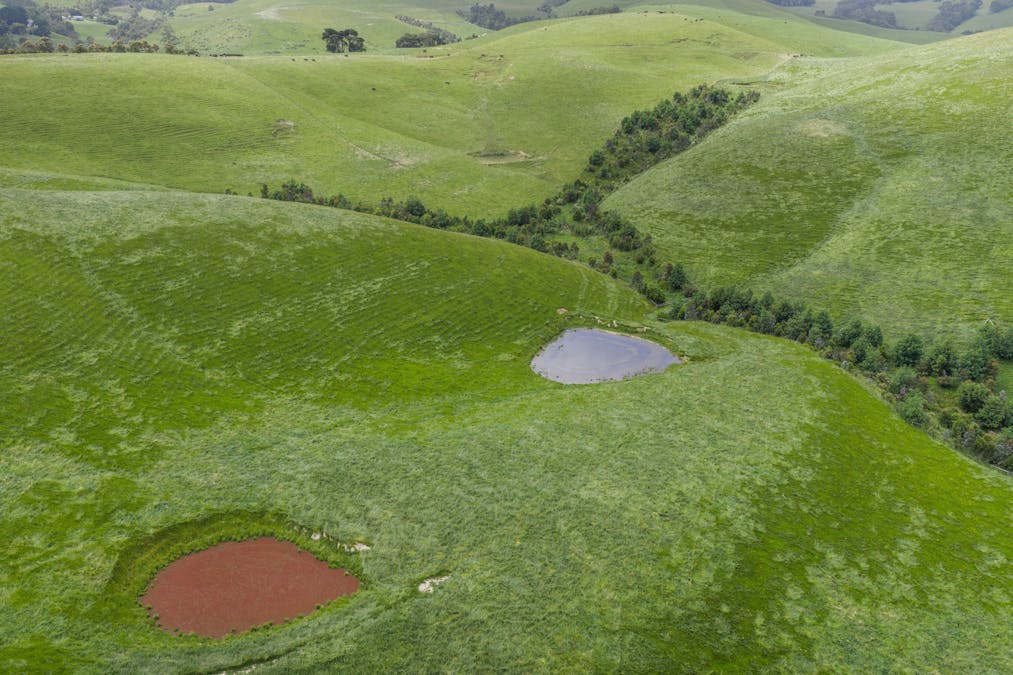 1096 Grantville - Glen Alvie Road, Almurta, VIC, 3979 - Image 4