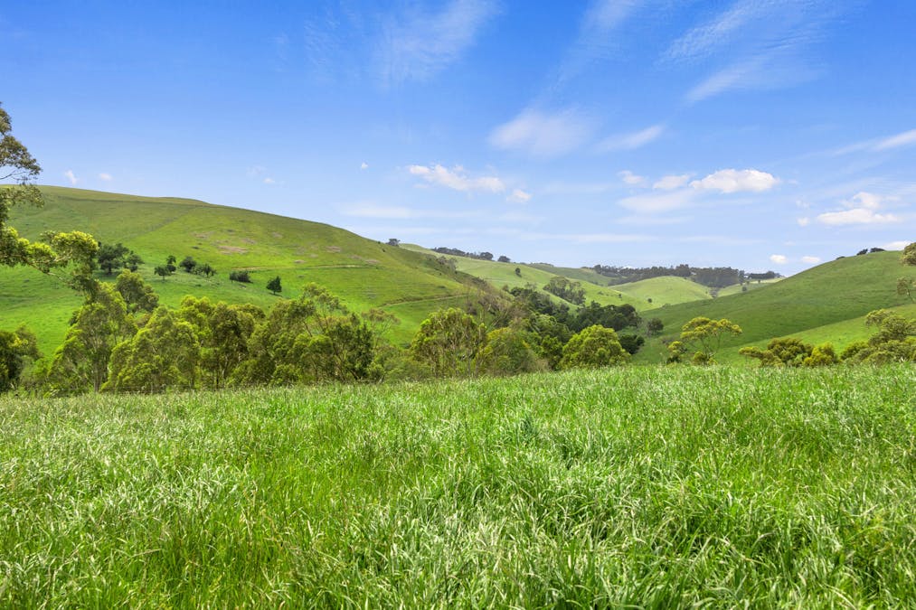 1096 Grantville - Glen Alvie Road, Almurta, VIC, 3979 - Image 12