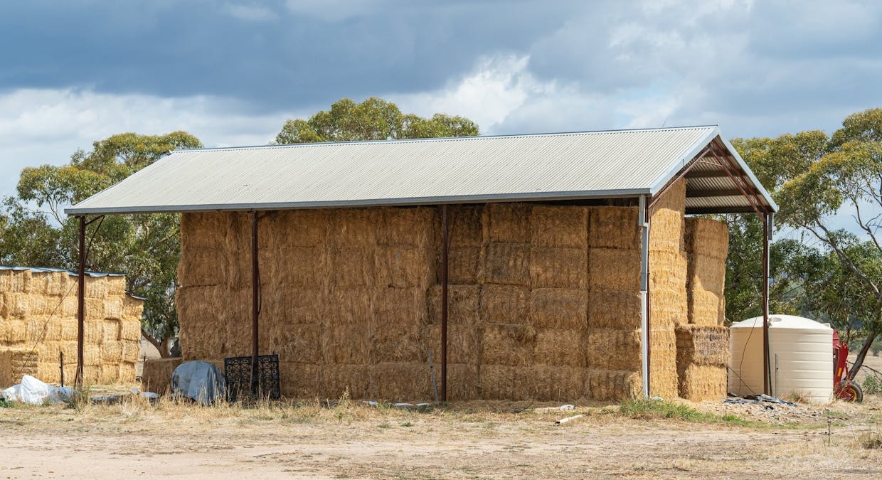 Dights Forest Road, Jindera, NSW, 2642 - Image 18