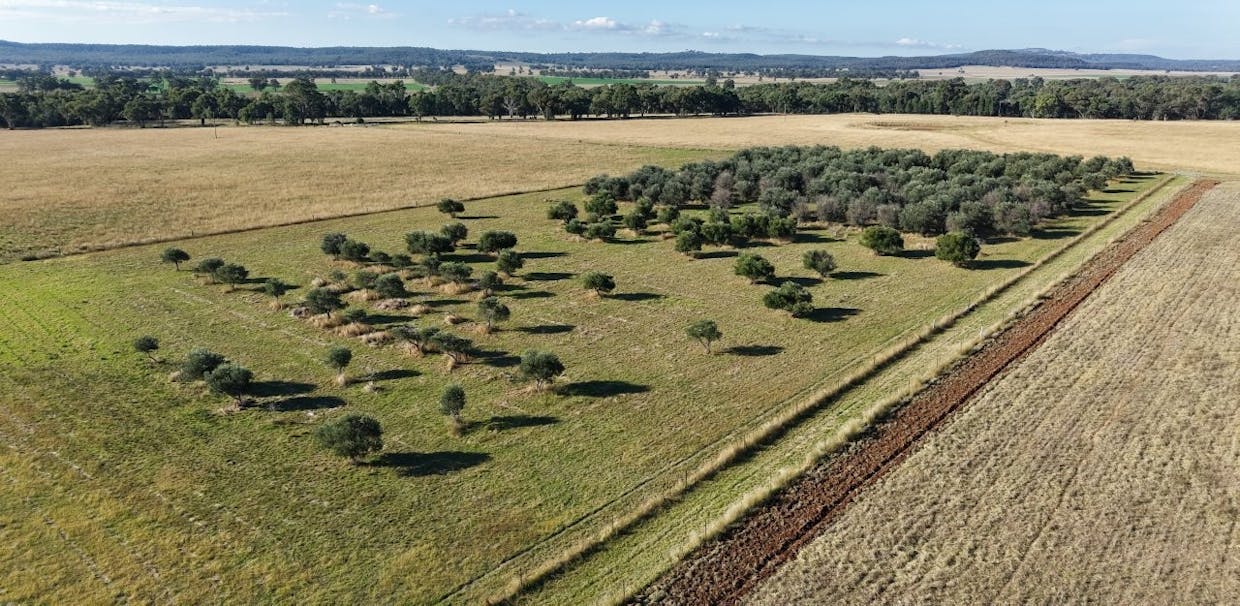 3761 Neilrex Road, Neilrex, NSW, 2831 - Image 18