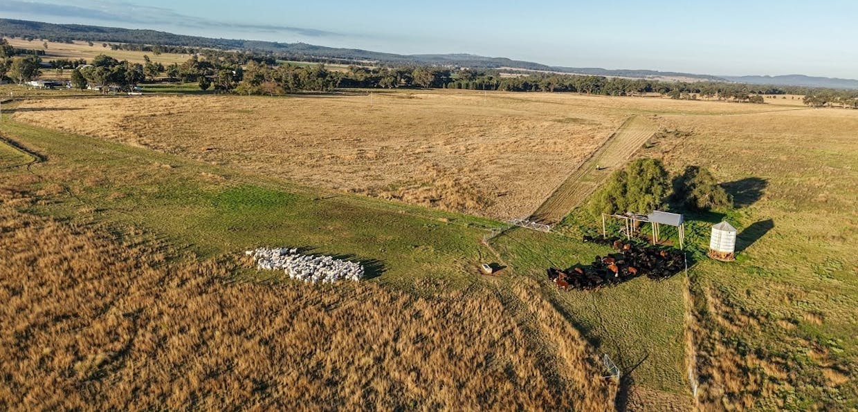 3761 Neilrex Road, Neilrex, NSW, 2831 - Image 6