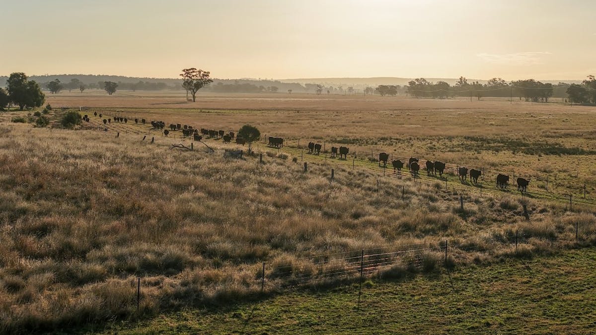 3761 Neilrex Road, Neilrex, NSW, 2831 - Image 5