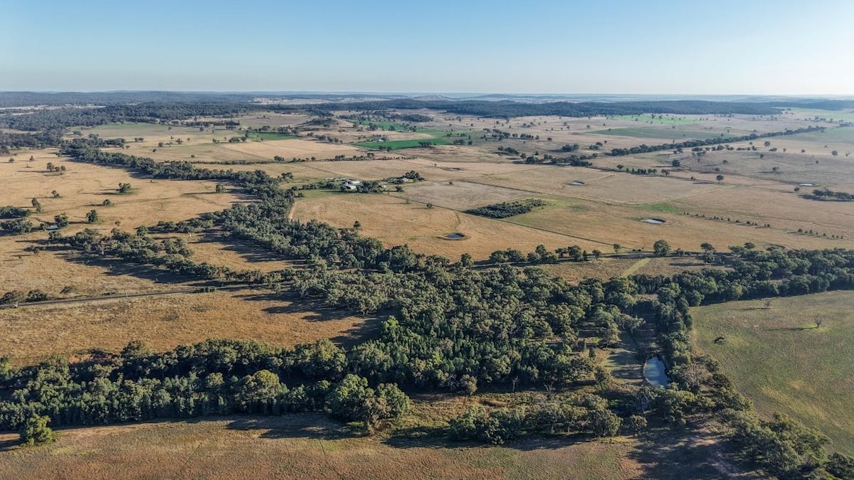 3761 Neilrex Road, Neilrex, NSW, 2831 - Image 22