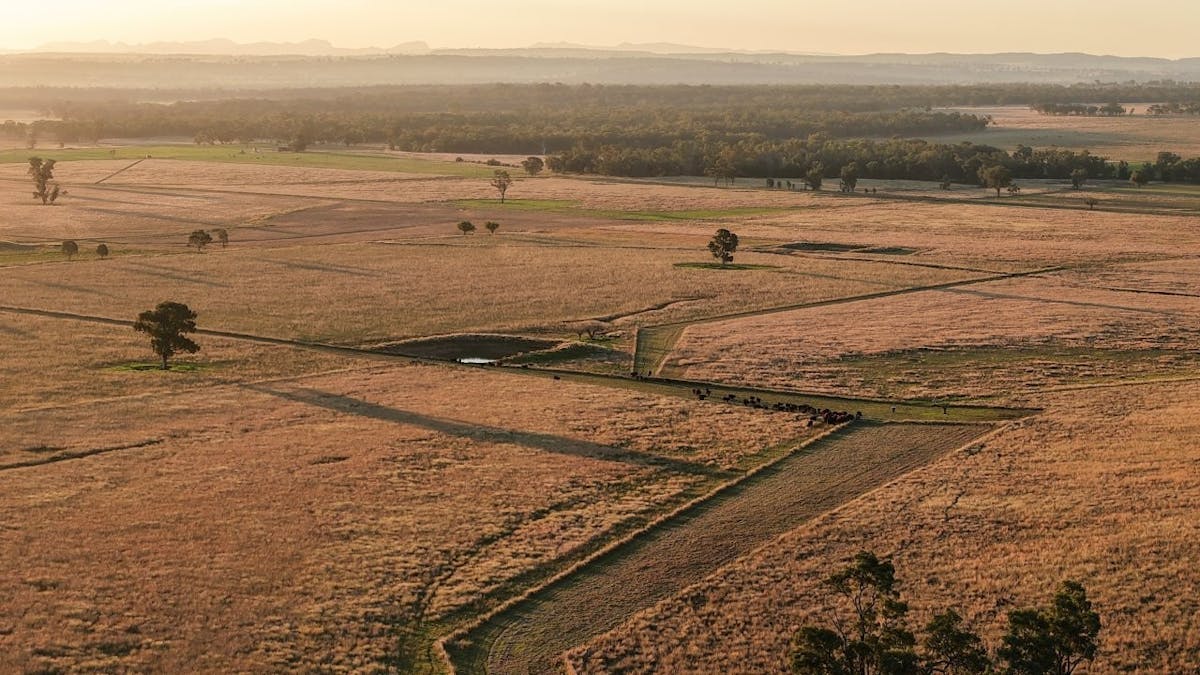 3761 Neilrex Road, Neilrex, NSW, 2831 - Image 26