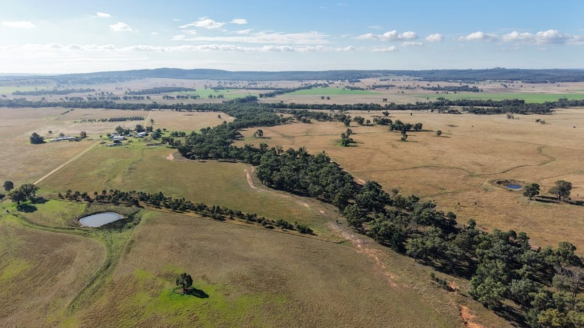 3761 Neilrex Road, Neilrex, NSW, 2831 - Image 23