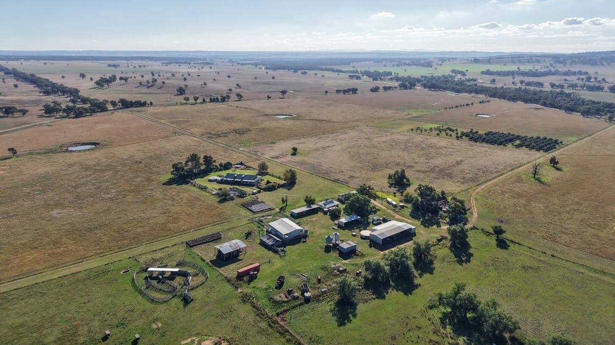 3761 Neilrex Road, Neilrex, NSW, 2831 - Image 1
