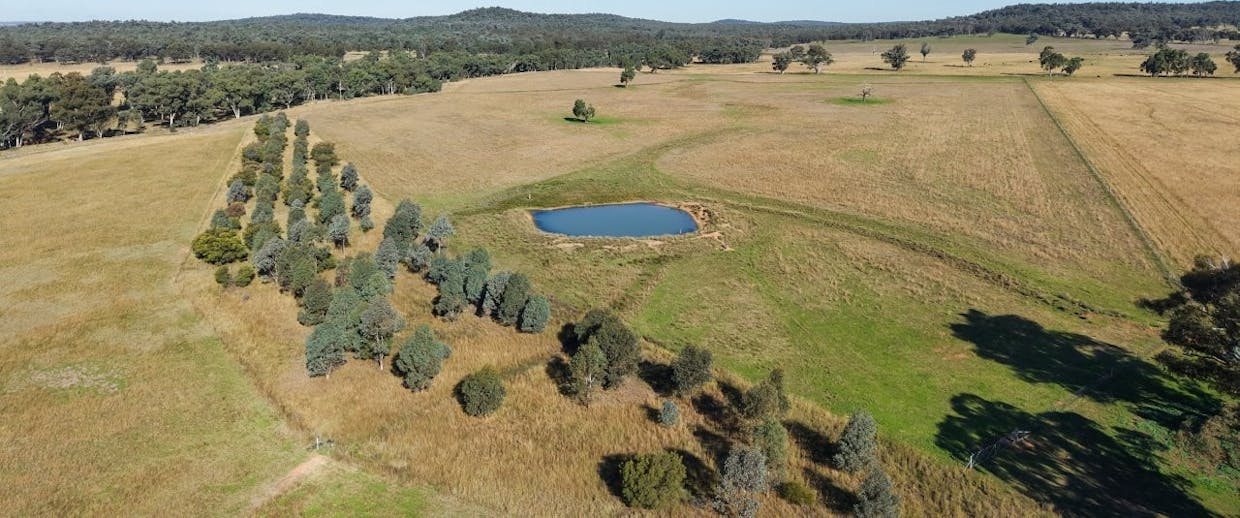 3761 Neilrex Road, Neilrex, NSW, 2831 - Image 16