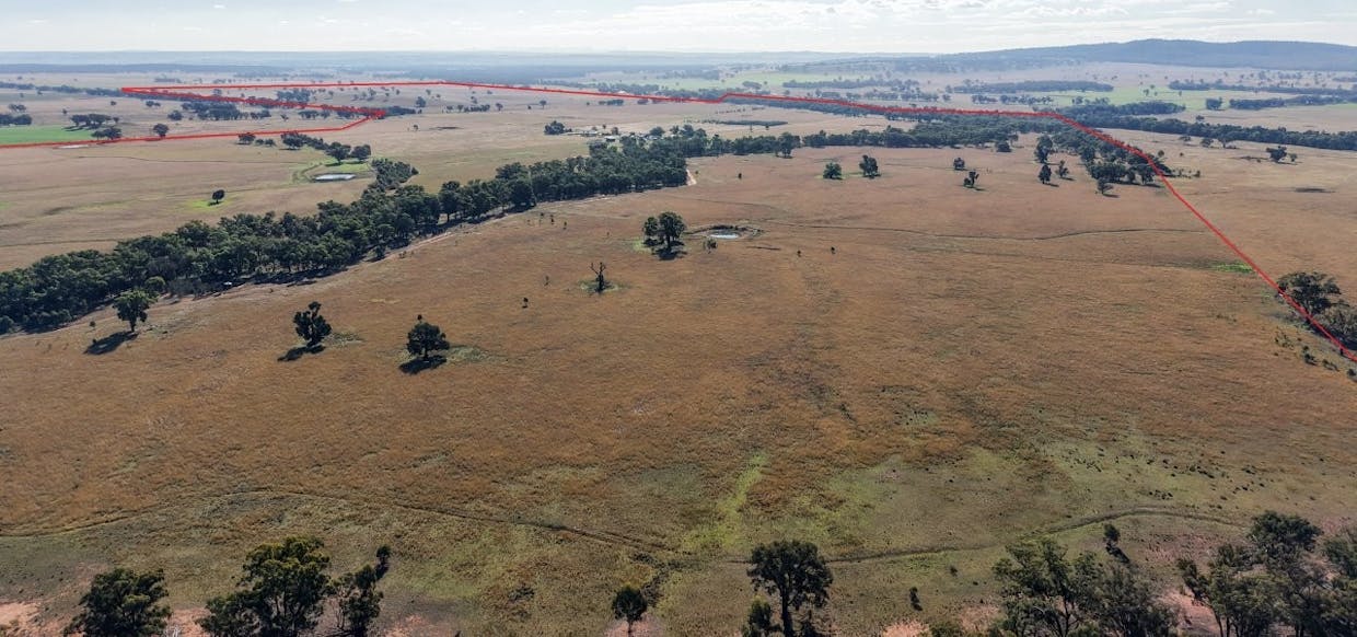 3761 Neilrex Road, Neilrex, NSW, 2831 - Image 21