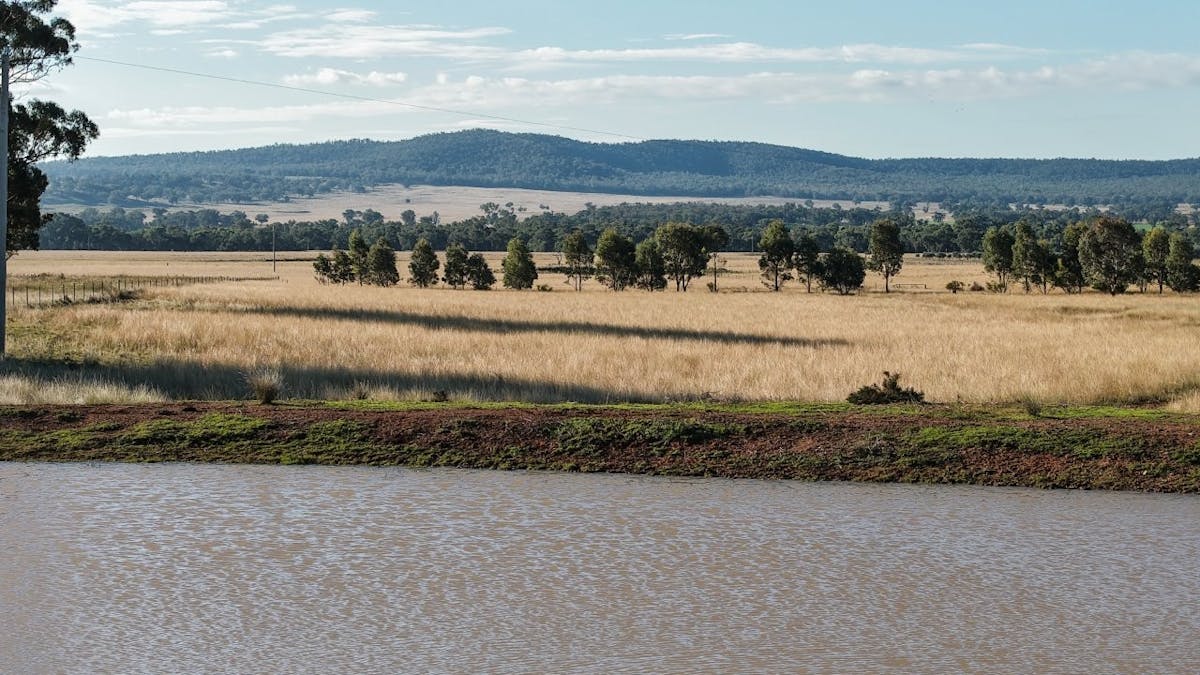3761 Neilrex Road, Neilrex, NSW, 2831 - Image 17