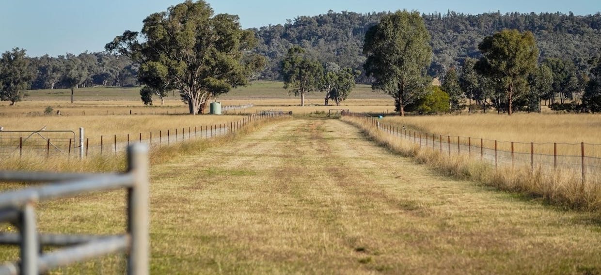 3761 Neilrex Road, Neilrex, NSW, 2831 - Image 15