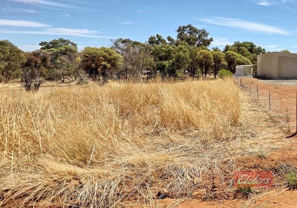 55 Lavender Street, Williams, WA, 6391 - Image 4