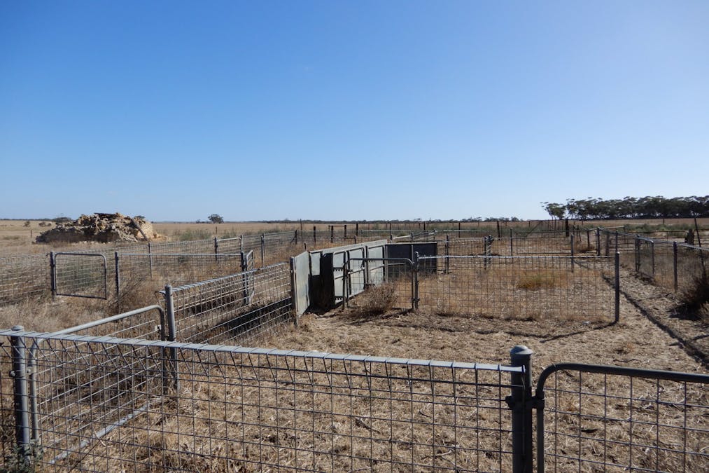 281 Kielow Road, Peake, SA, 5301 - Image 2