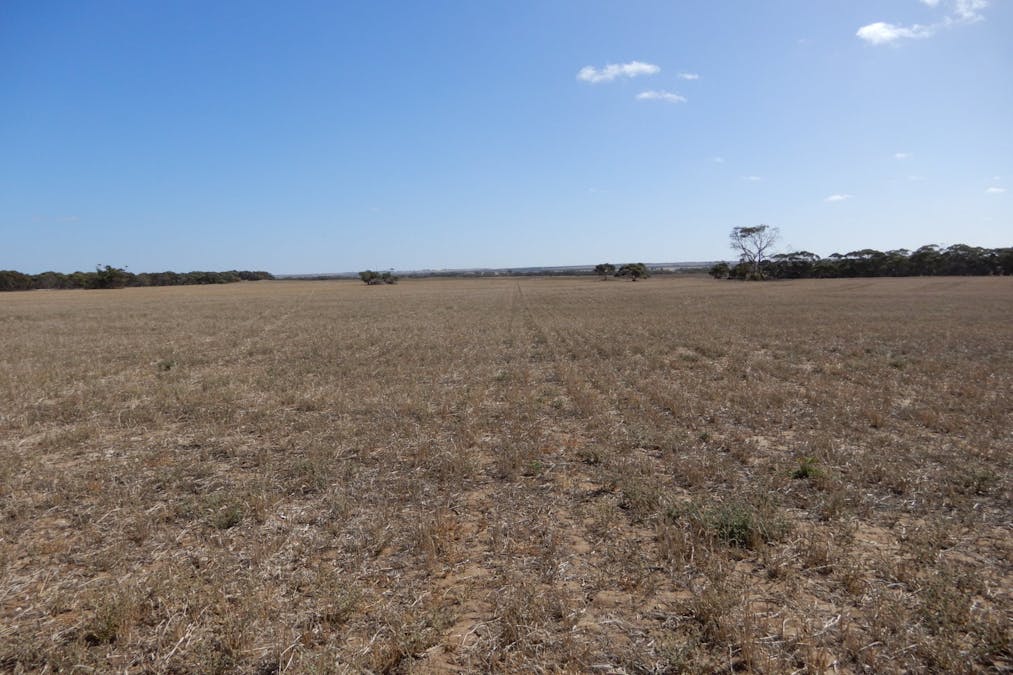 281 Kielow Road, Peake, SA, 5301 - Image 3