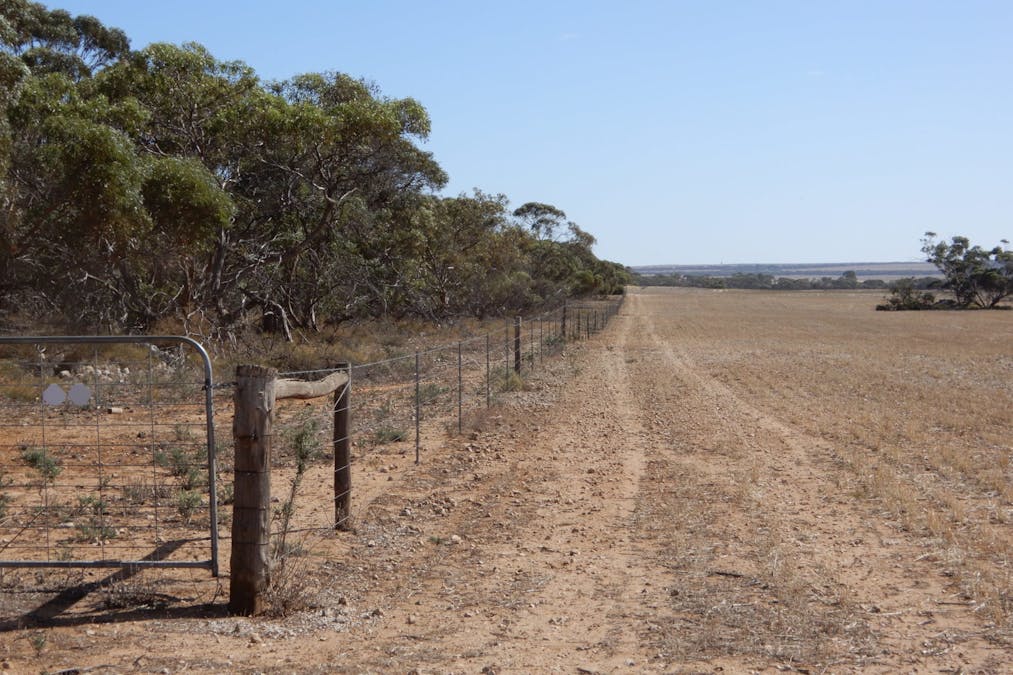 281 Kielow Road, Peake, SA, 5301 - Image 4