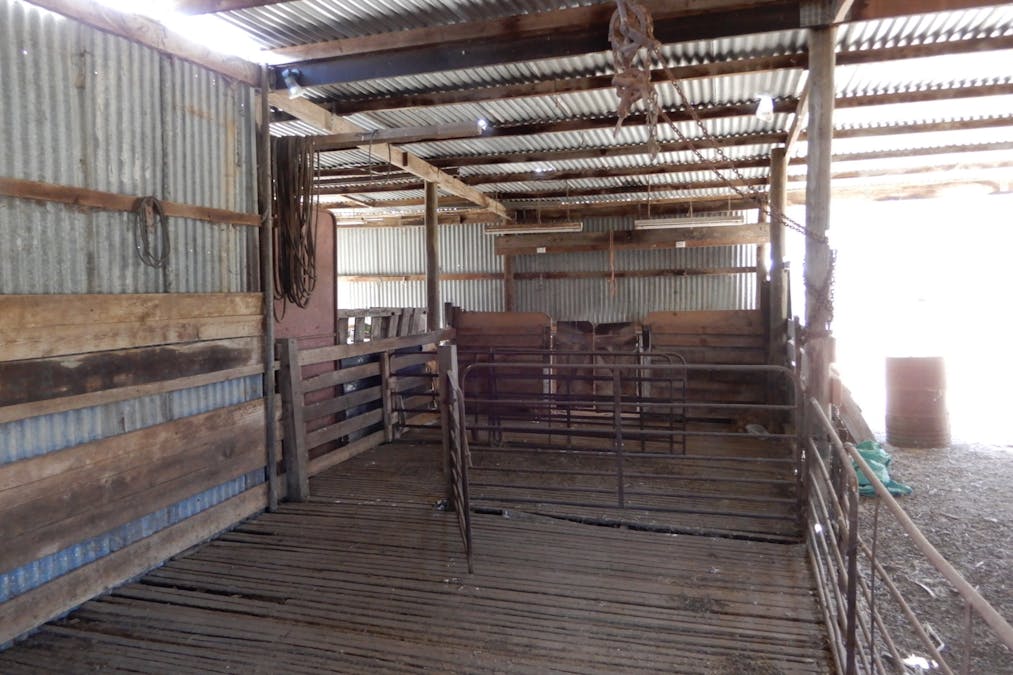 281 Kielow Road, Peake, SA, 5301 - Image 8