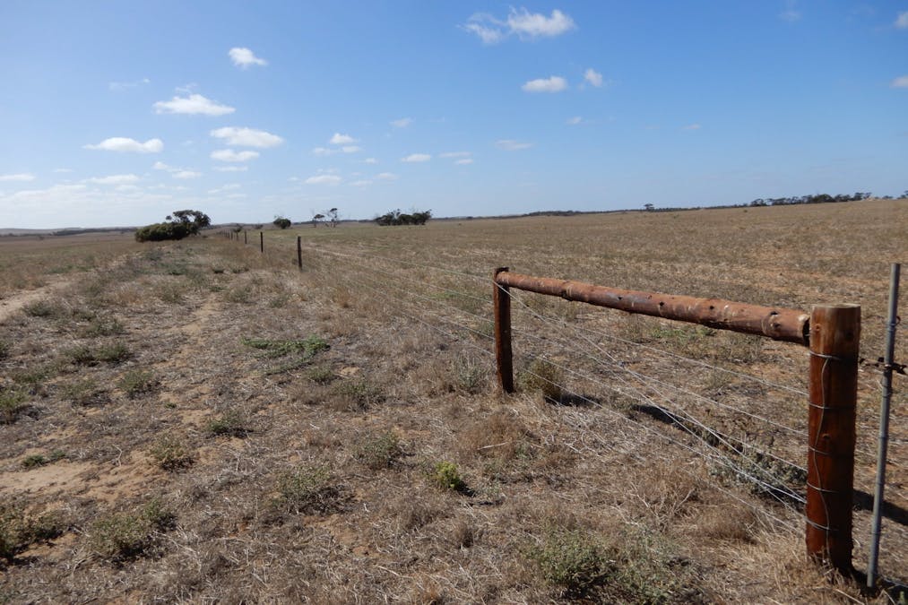 281 Kielow Road, Peake, SA, 5301 - Image 9