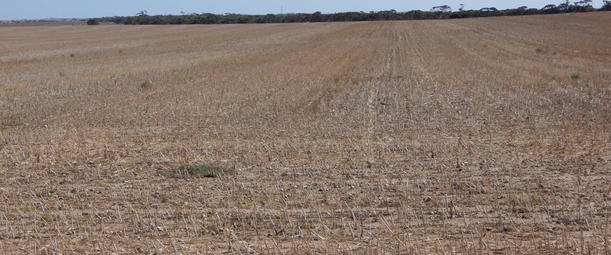 281 Kielow Road, Peake, SA, 5301 - Image 10