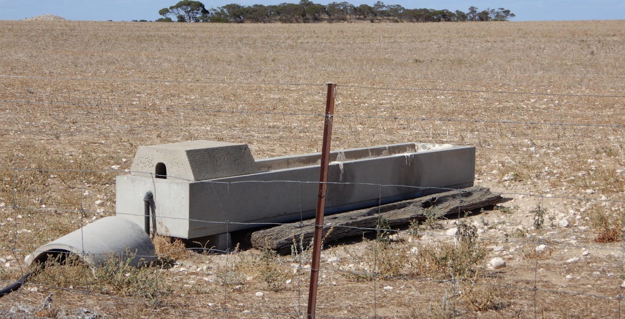 281 Kielow Road, Peake, SA, 5301 - Image 11