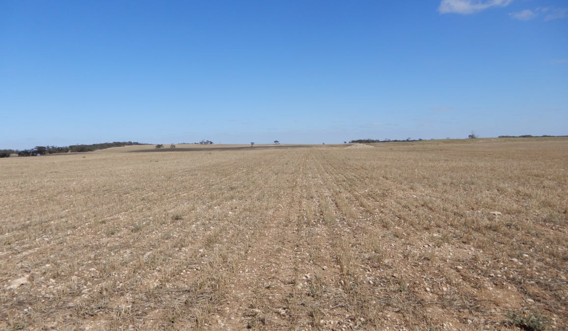 281 Kielow Road, Peake, SA, 5301 - Image 12