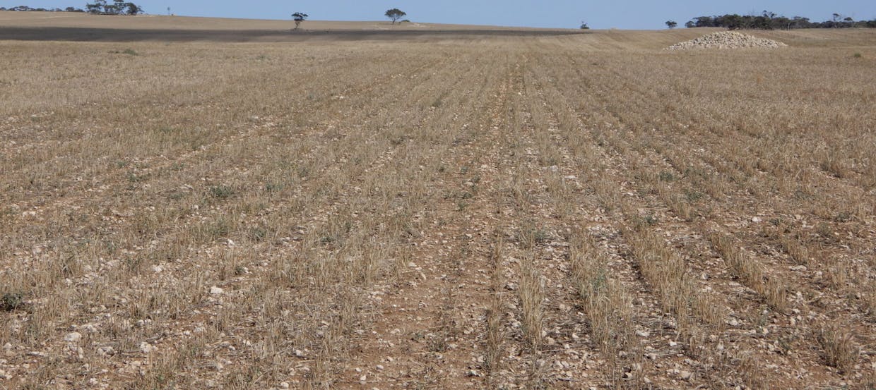 281 Kielow Road, Peake, SA, 5301 - Image 13