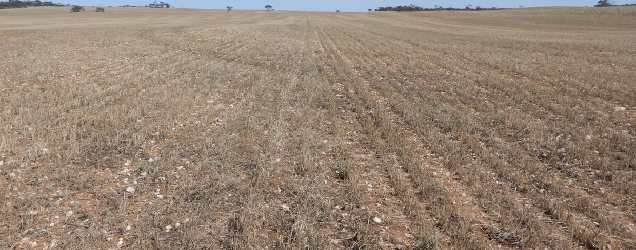 281 Kielow Road, Peake, SA, 5301 - Image 14