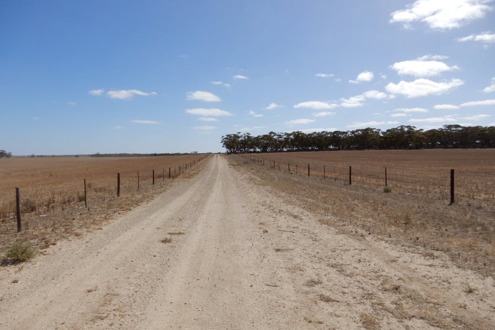 281 Kielow Road, Peake, SA, 5301 - Image 16