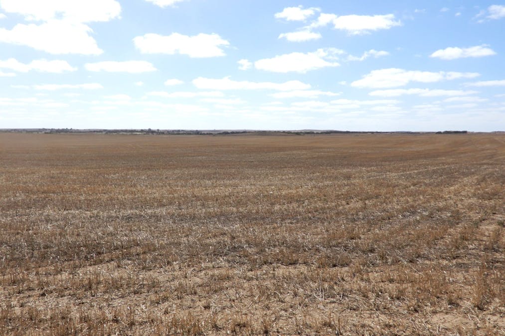 281 Kielow Road, Peake, SA, 5301 - Image 17