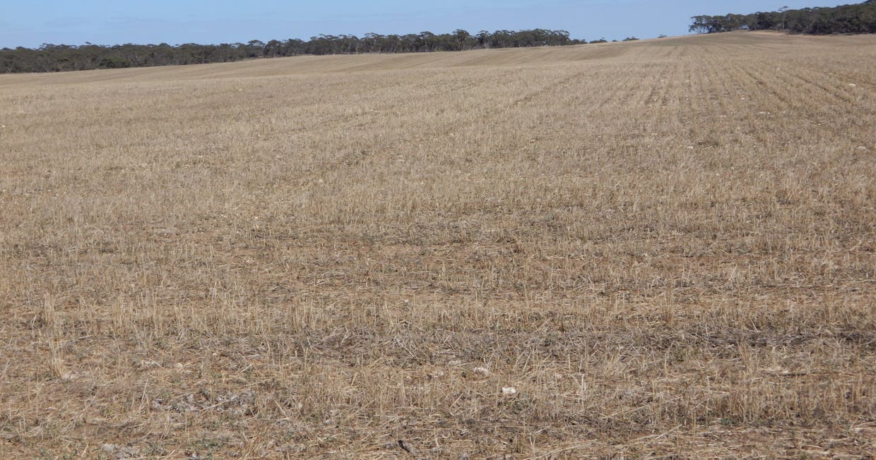 281 Kielow Road, Peake, SA, 5301 - Image 18
