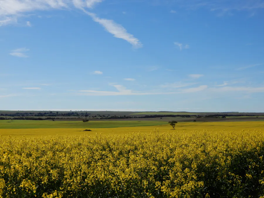281 Kielow Road, Peake, SA, 5301 - Image 1