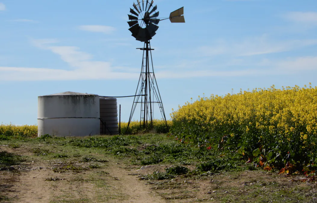 281 Kielow Road, Peake, SA, 5301 - Image 10
